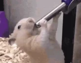 EATING emote for Discord