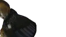 easykungfu2 emote for Discord