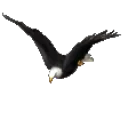 EagleFly emote for Discord