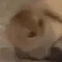 EarlHeadSpin emote for Discord