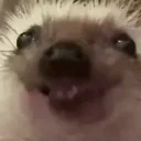 Eatt emote for Discord