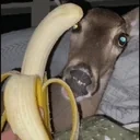 EatingBanana animated emote for Discord, Twitch and Slack