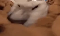 EATEAT emote for Discord