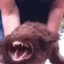 EASYBOY emote for Discord