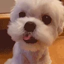 eat emote for Discord