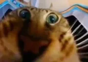 eat emote for Discord