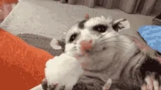 Eat emote for Discord