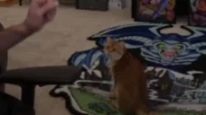 earlno emote for Discord