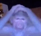 ebat emote for Discord