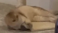 EarlHeadSpin emote for Discord