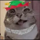 eblanchik emote for Discord