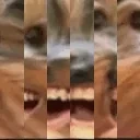 EbiVBB emote for Discord