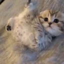 eblan4ik emote for Discord