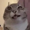 eblanchik emote for Discord