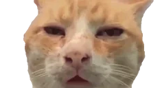 ebeishiJAM emote for Discord