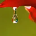 emotionaldamage emote for Discord