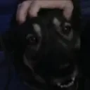 EMMA emote for Discord