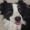 EMMA emote for Discord