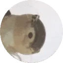 EmiliePedro emote for Discord