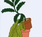 emprosneo emote for Discord