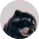 enot emote for Discord