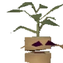 EntlingNotTheTrimIWanted emote for Discord