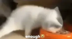 ENOUGH emote for Discord