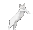 EnigmaBeRunningOutOfLaundry emote for Discord