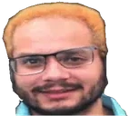 emoneyWings emote for Discord