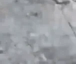 Entrance emote for Discord