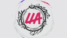 EntireLLAFinalFinals emote for Discord