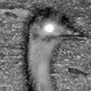 enemySpotted emote for Discord