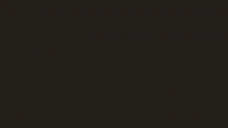 EntireNieRAutomataCredi emote for Discord