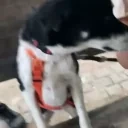 EnyaLeave emote for Discord