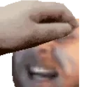 enmiguPET emote for Discord