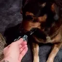 Enteignung emote for Discord