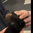 eow emote for Discord