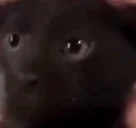 eow emote for Discord