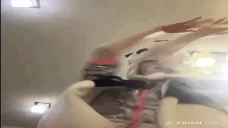 enigmaDance emote for Discord