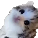 Erm emote for Discord