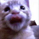 erm emote for Discord