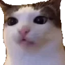 ermegemmzzfsfwqasdv emote for Discord