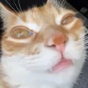 ErmDying emote for Discord