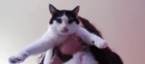 EpsonFootJigglin emote for Discord