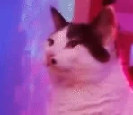 EpsonMeow emote for Discord