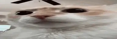 ermm emote for Discord