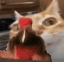 ErmShakey emote for Discord