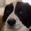 Erm emote for Discord