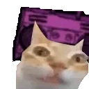 ermboomies emote for Discord