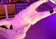 EpsonSTRETCH emote for Discord